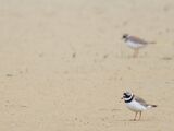 Two adults at Ferrybridge